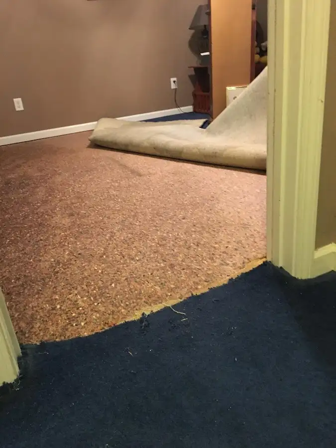 Carpet pad removal revealing water damage during Water Mitigation Services in Adelphi
