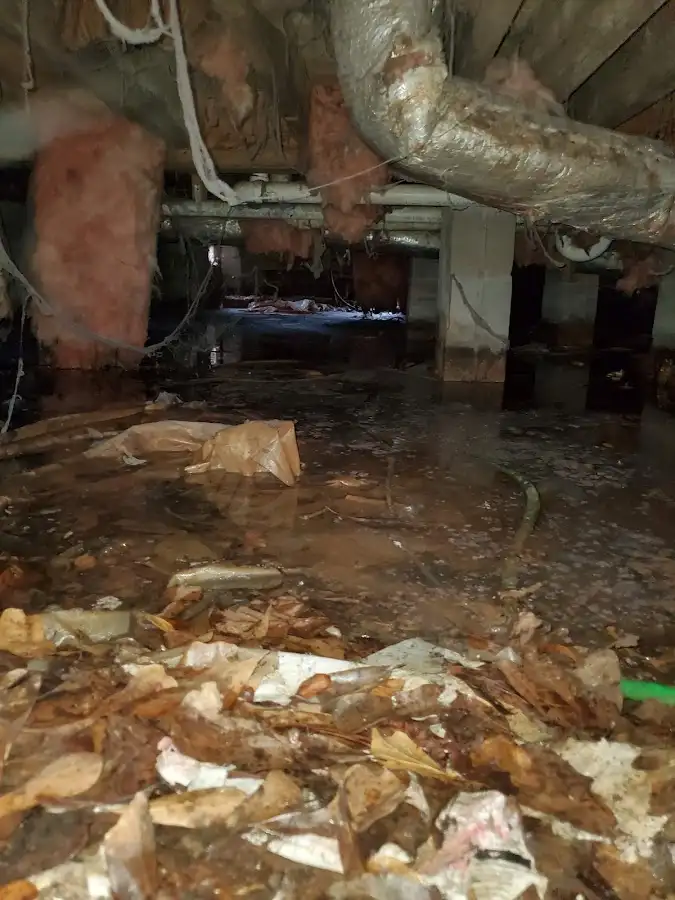Crawl space flood assessment for Commercial Water Damage Restoration in Adelphi