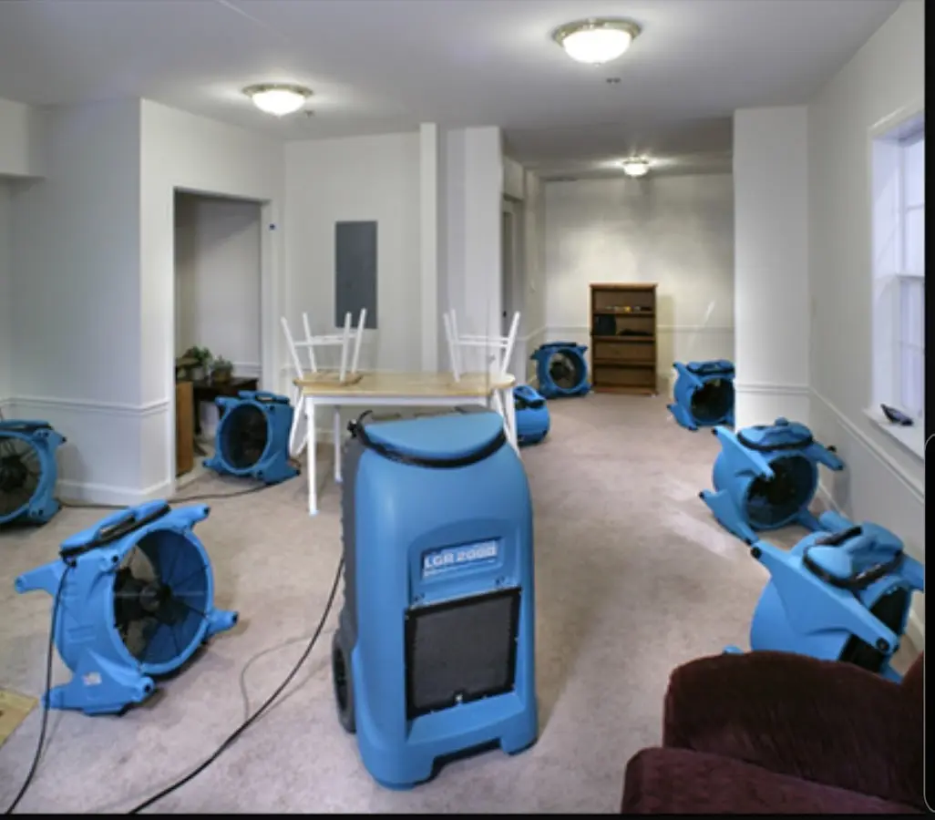 Air movers and dehumidifier setup for Water Extraction & Removal in Adelphi