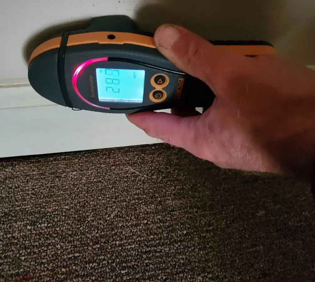 Moisture detection at baseboard during Mold Inspection & Testing in Adelphi