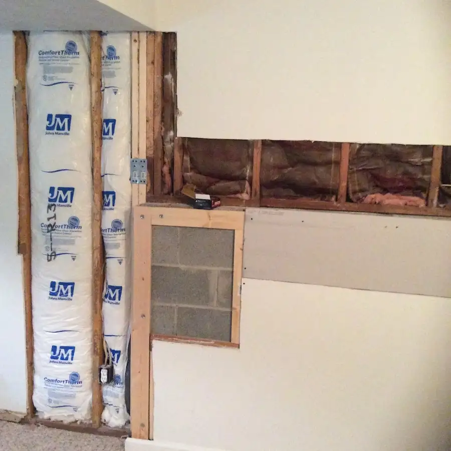 Wall insulation replacement during Odor Removal & Deodorization in Adelphi
